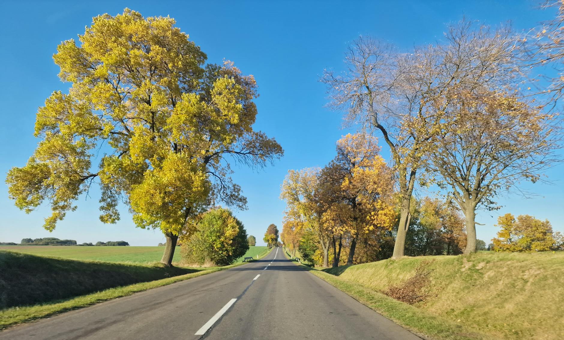 Nowoczesna droga w powiecie puławskim, symbol inwestycji drogowych i rozwoju infrastruktury.